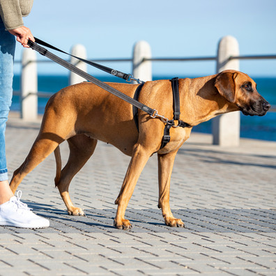 Multi lead Clearance