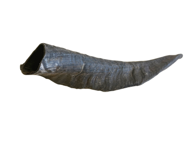 CHOMPY Goat Horn Single Large Dog Treats