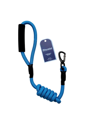 Petential Everyday Dog Leash Blue