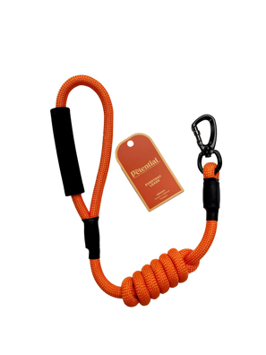 Petential Everyday Dog Leash Orange