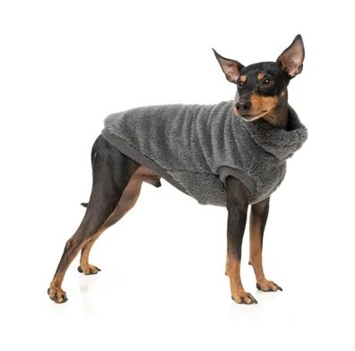 FuzzYard Turtle Teddy Dog Sweater Charcoal