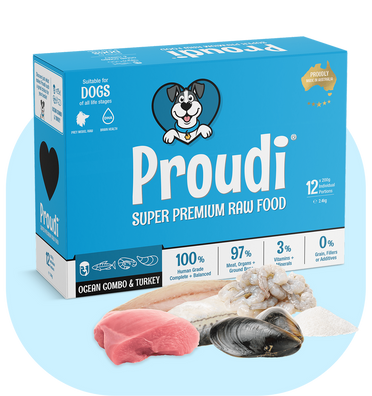 PROUDI Raw Seafood & Turkey Patties for Dogs