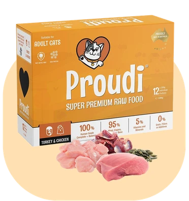PROUDI Raw Turkey & Chicken Patties for Cats