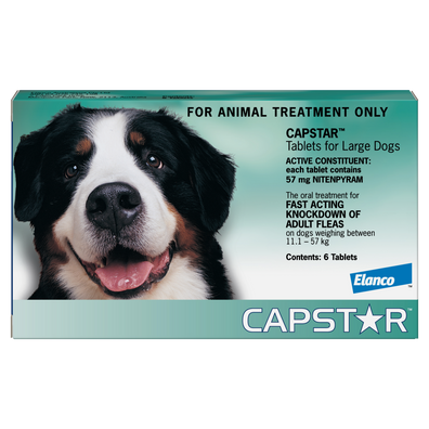 Capstar Flea Treatment For Large Dogs