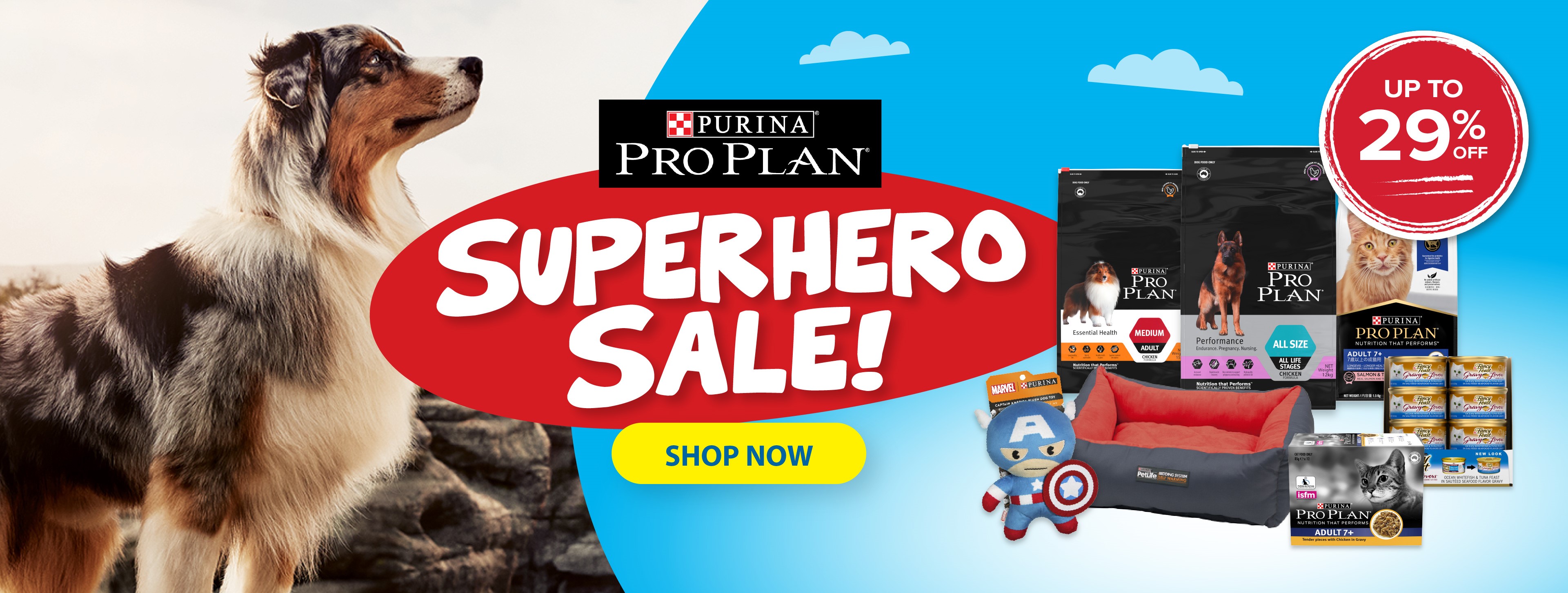 main place dog store