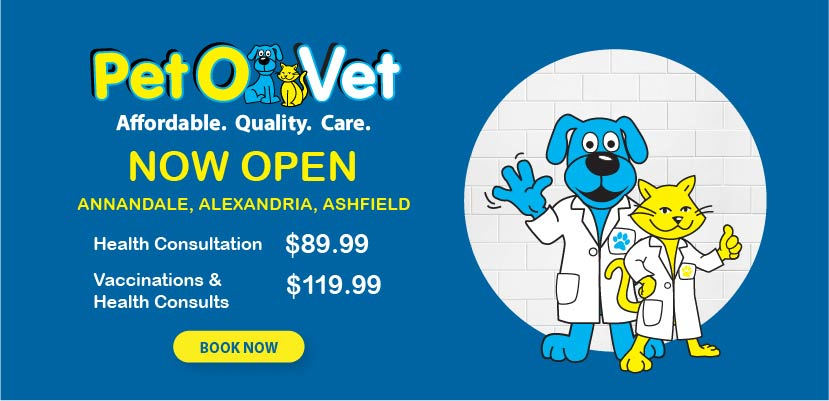 closest open pet store