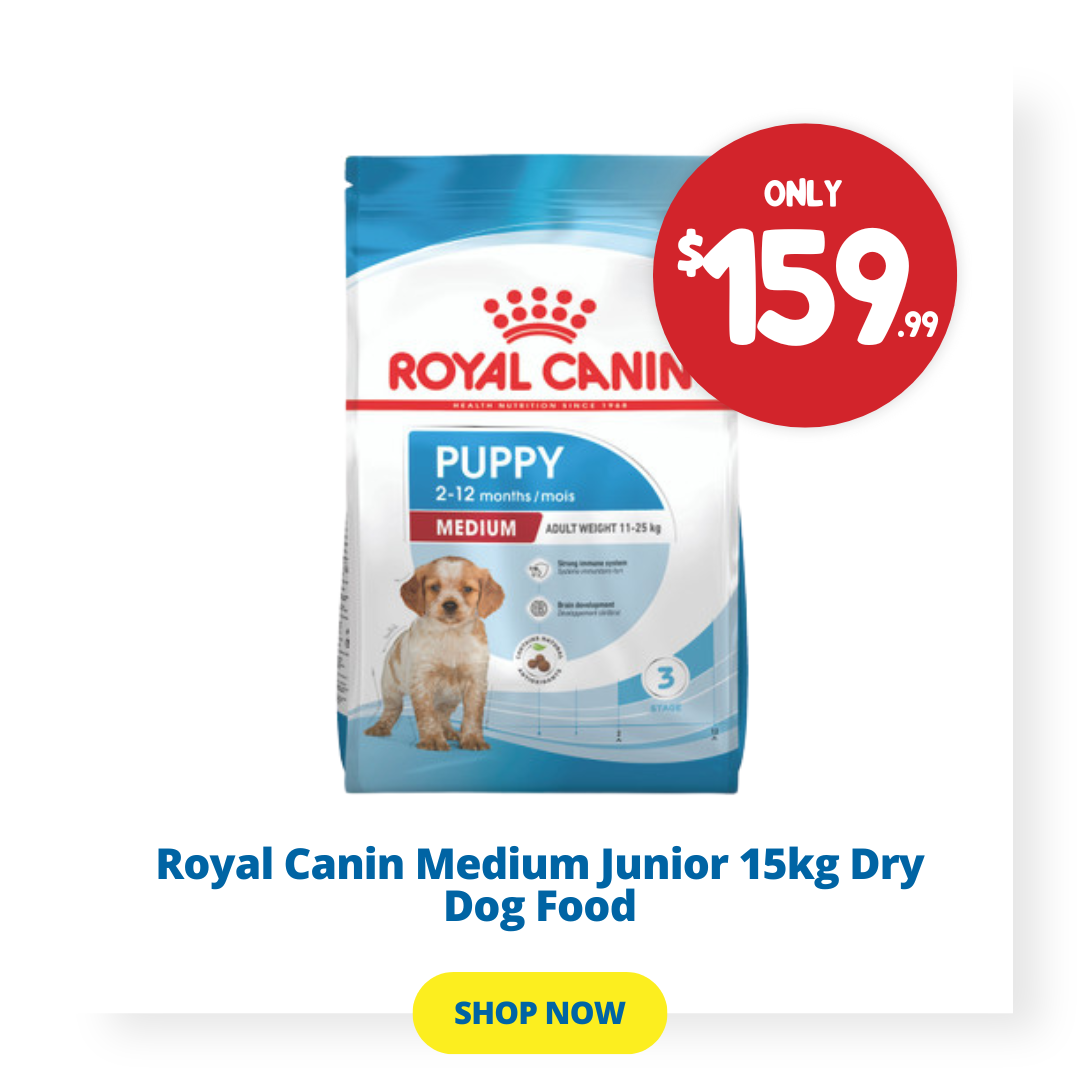 PetO Australia s Largest Dog Cat Store Pet Store