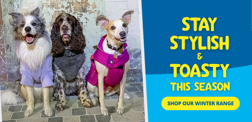 PetO Australia s Largest Dog Cat Store Pet Store