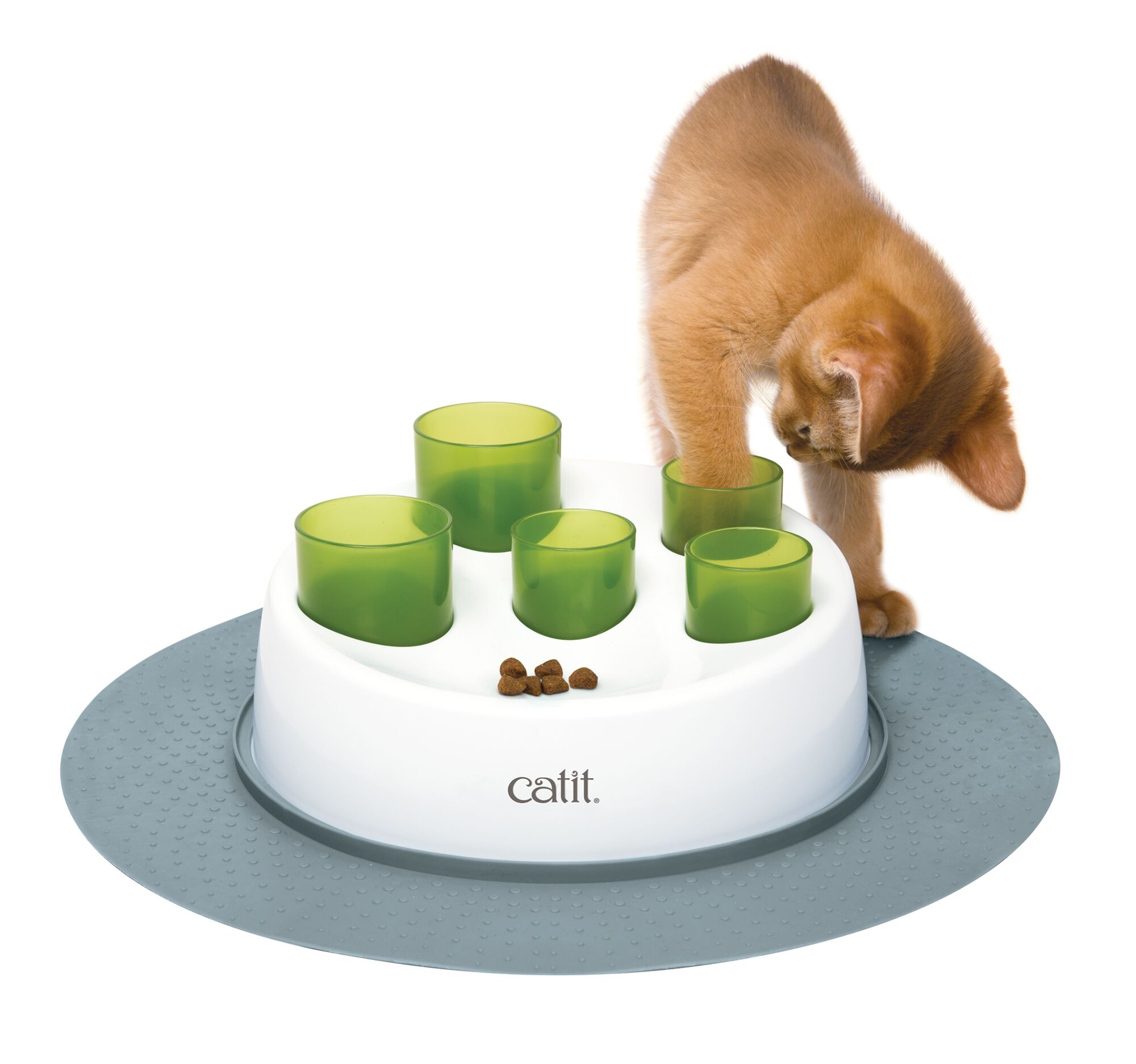 interactive cat feeder wet food