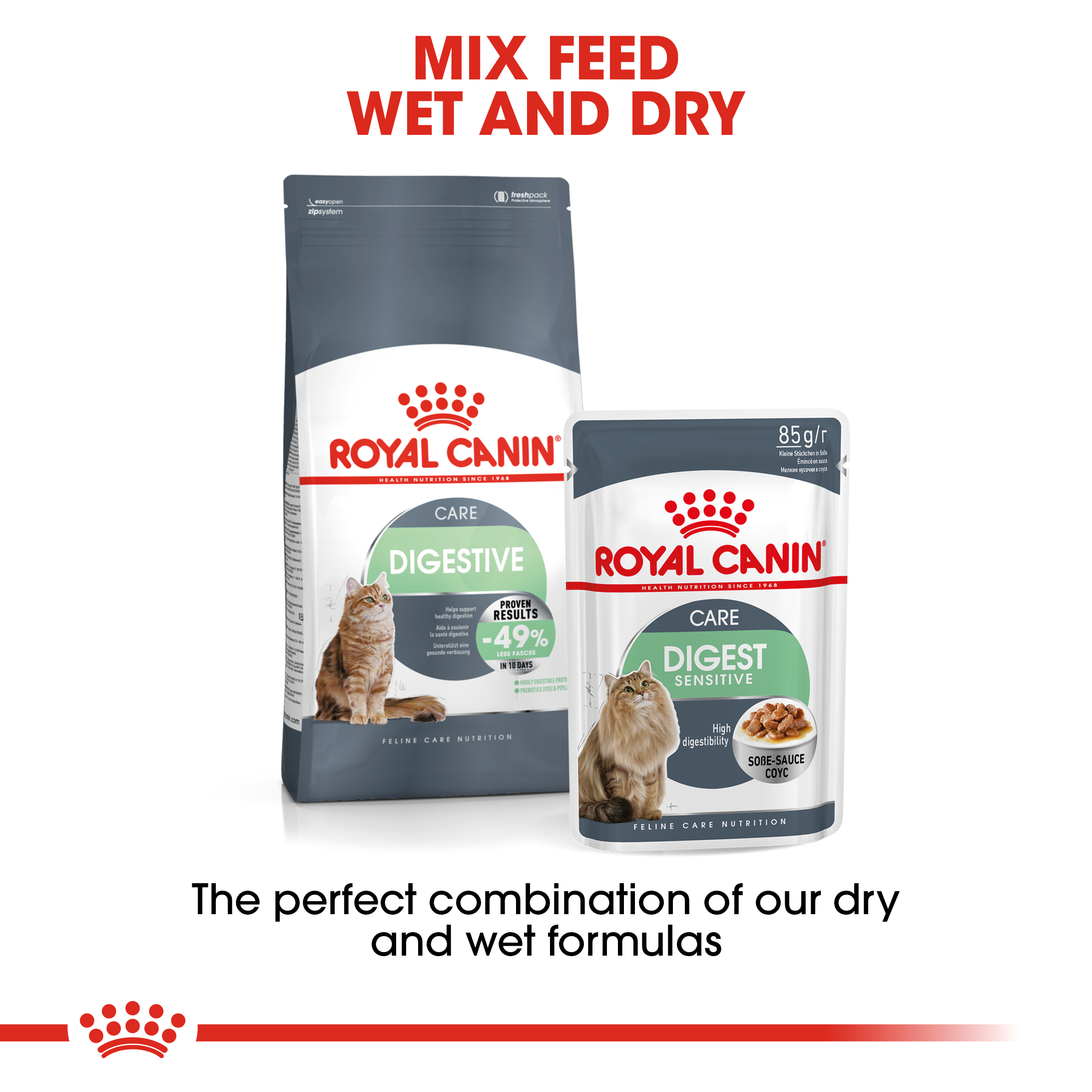 Royal Canin Digest Sensitive in Gravy Wet Cat Food Pouches - PetO