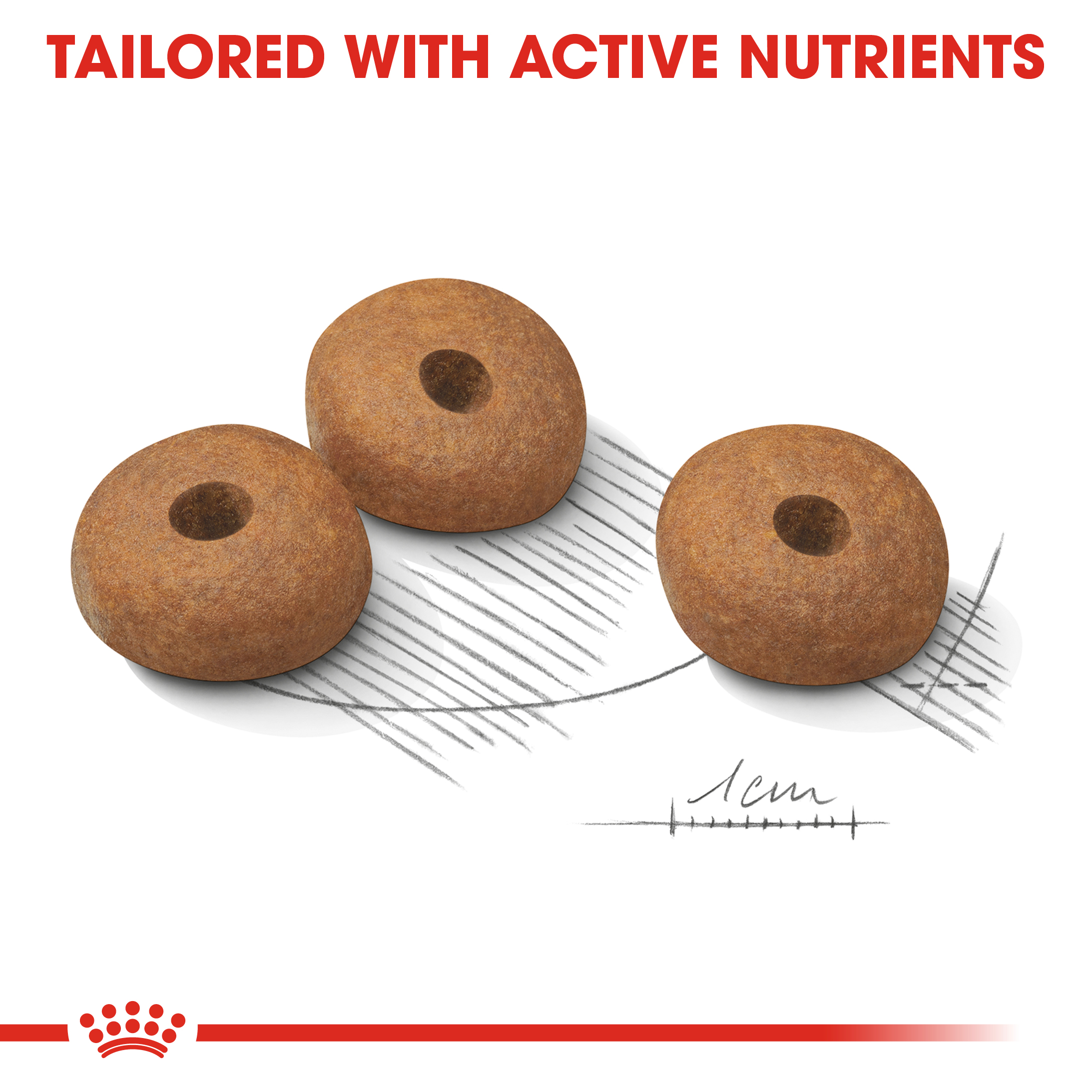 Royal Canin Medium Lightweight Care Dry Dog Food
