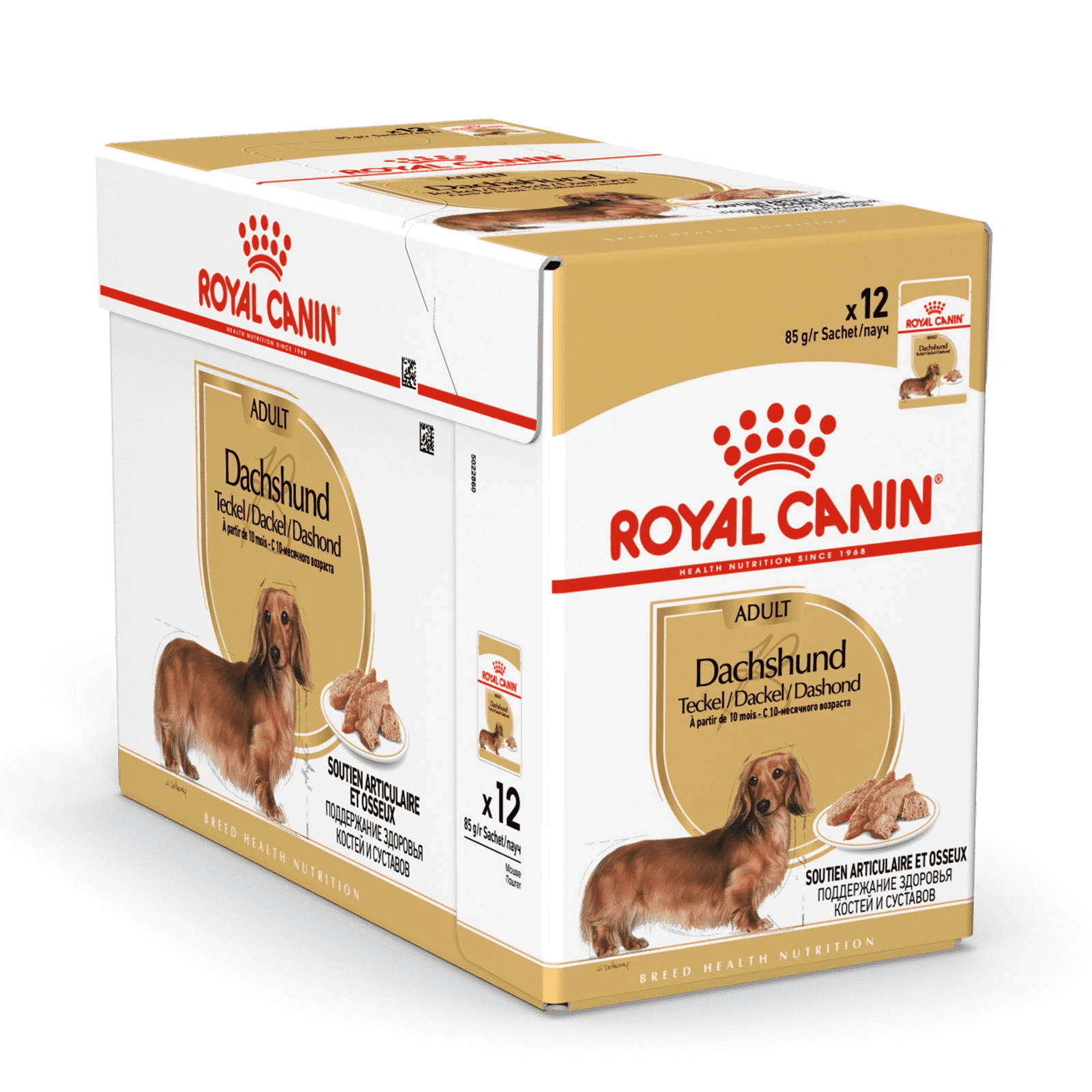 royal canin adult