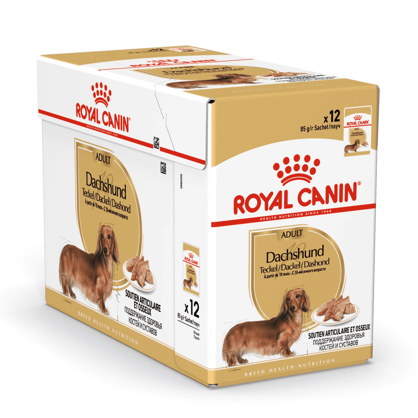 royal canin dachshund