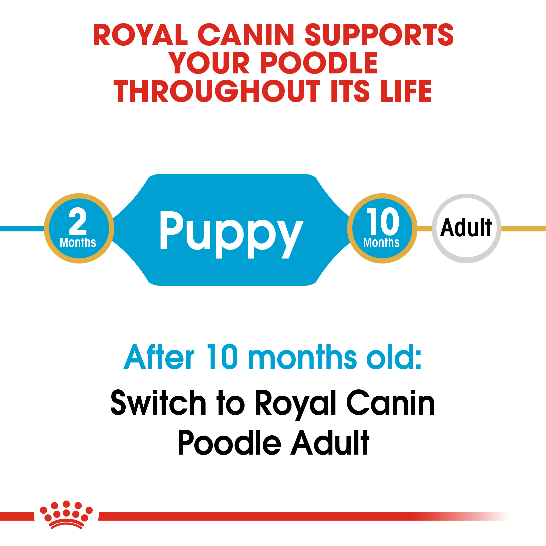 Royal Canin Poodle Puppy Dry Dog Food - PetO