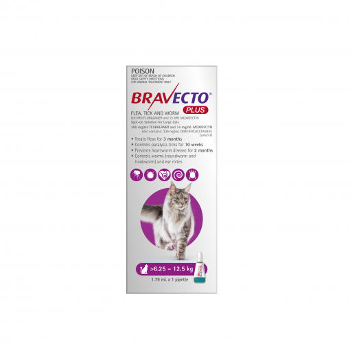 Bravecto Plus Flea Tick And Worming Treatment For Large Cats Purple Peto