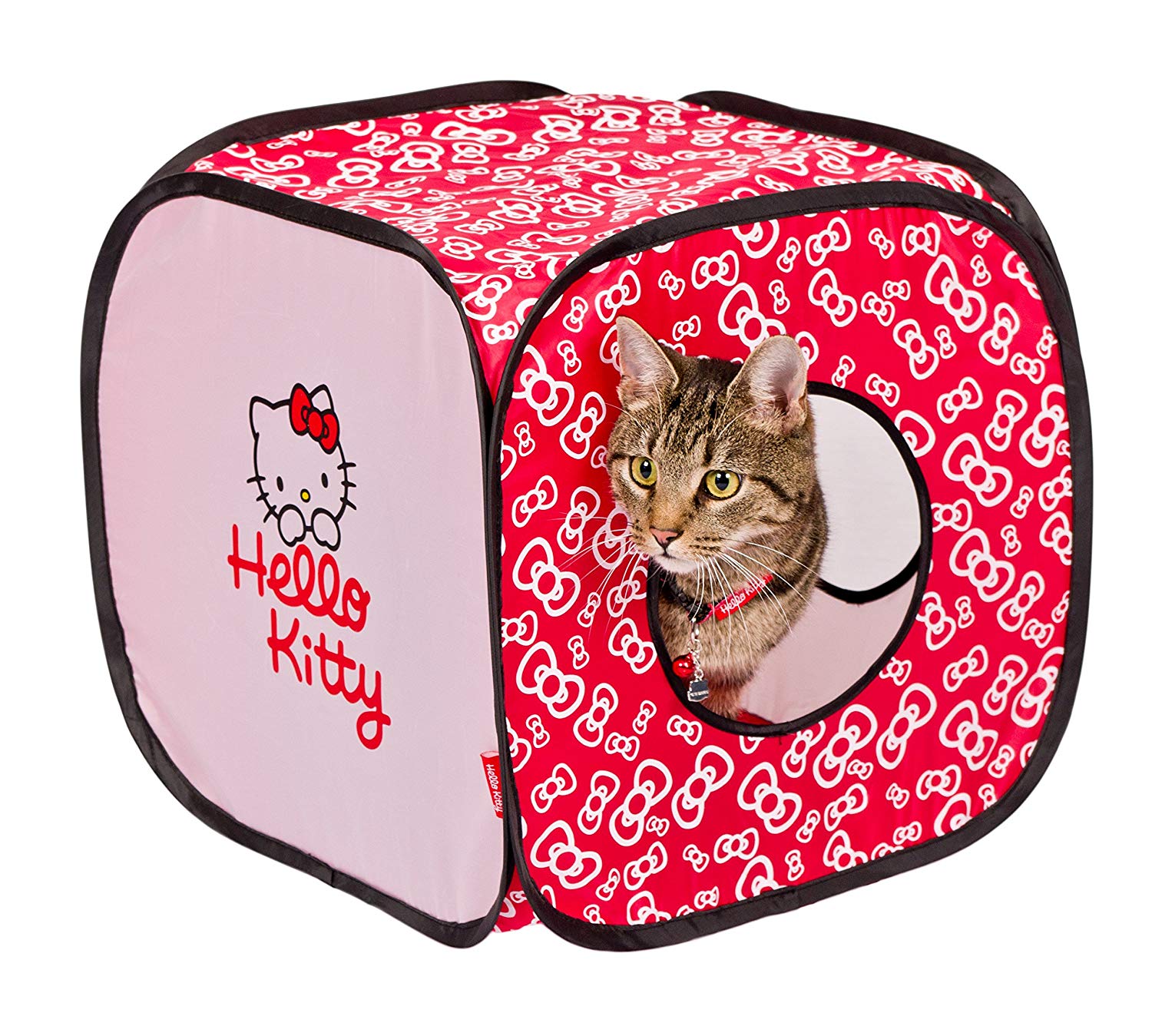 hello kitty litter box