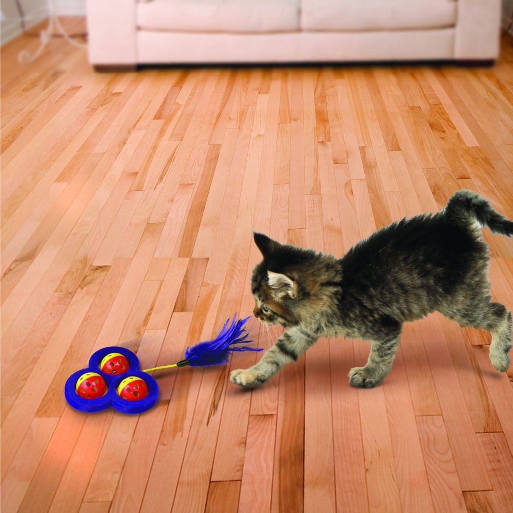 cat chasing toy