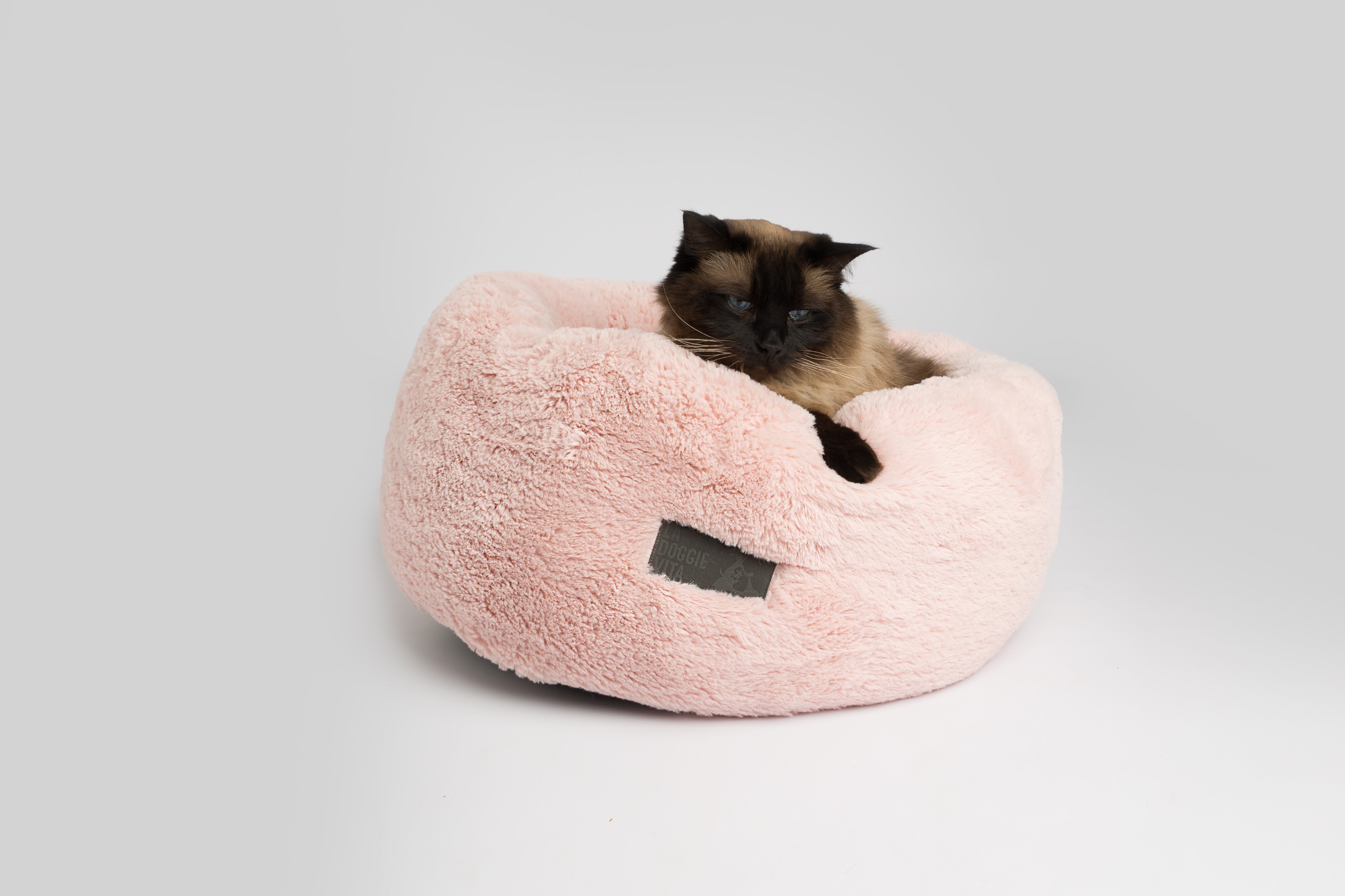 pet donut bed
