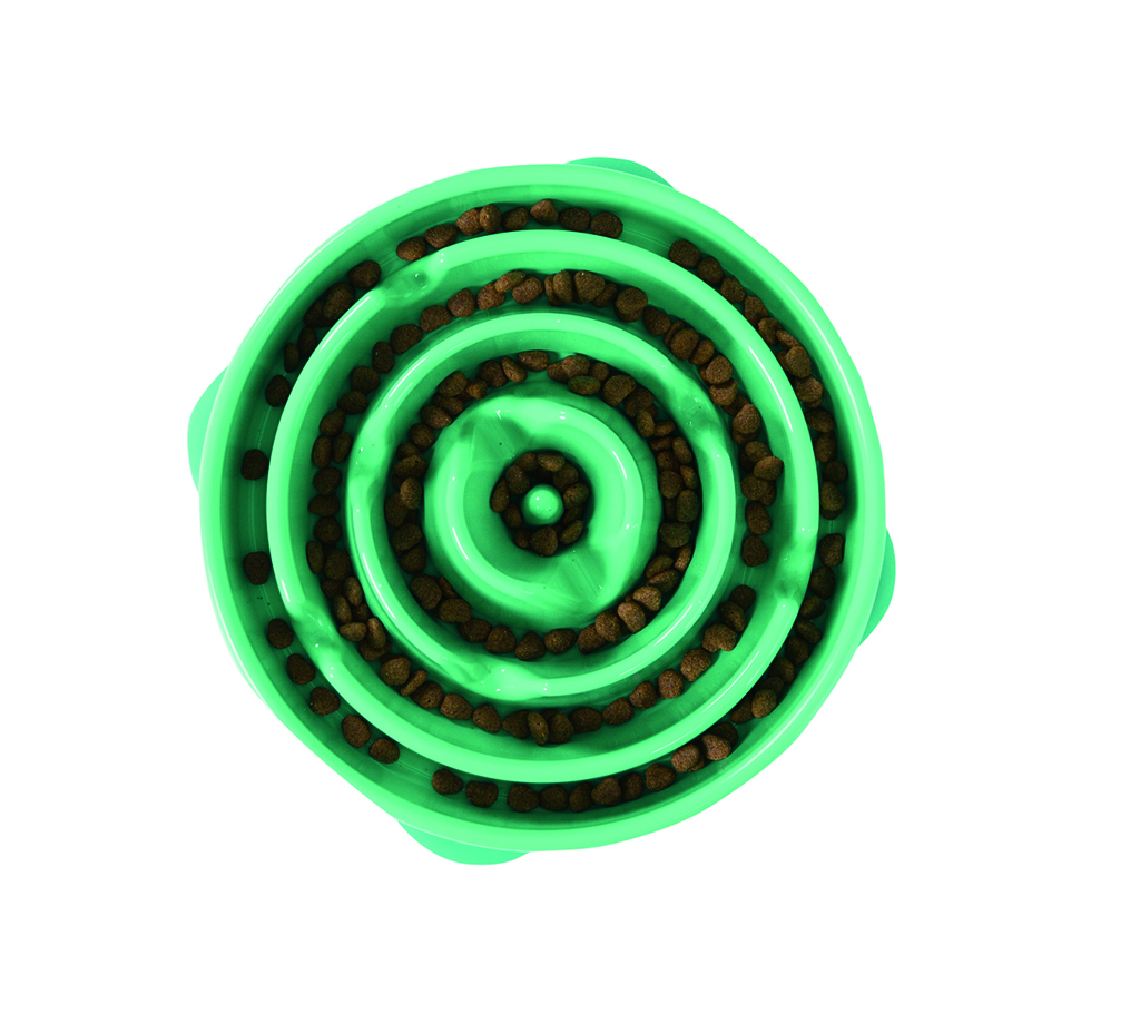 Outward Hound Fun Feeder Slow Feed Dog Bowl Teal PetO