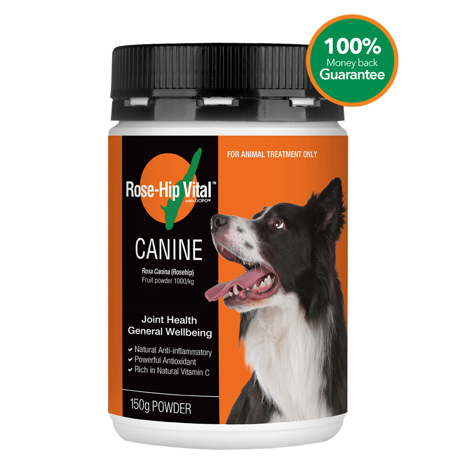 natural anti inflammatories for dogs