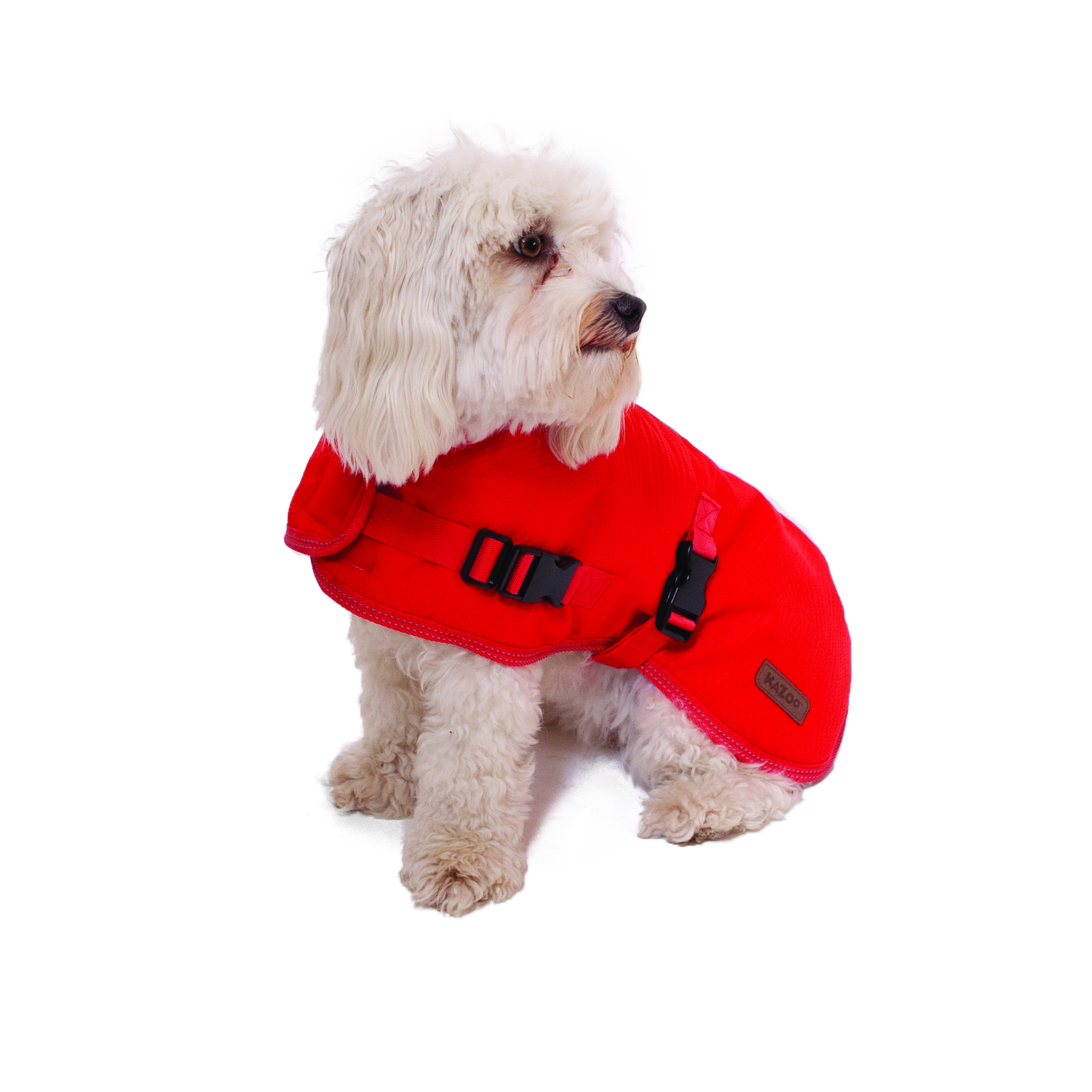 red dog coat