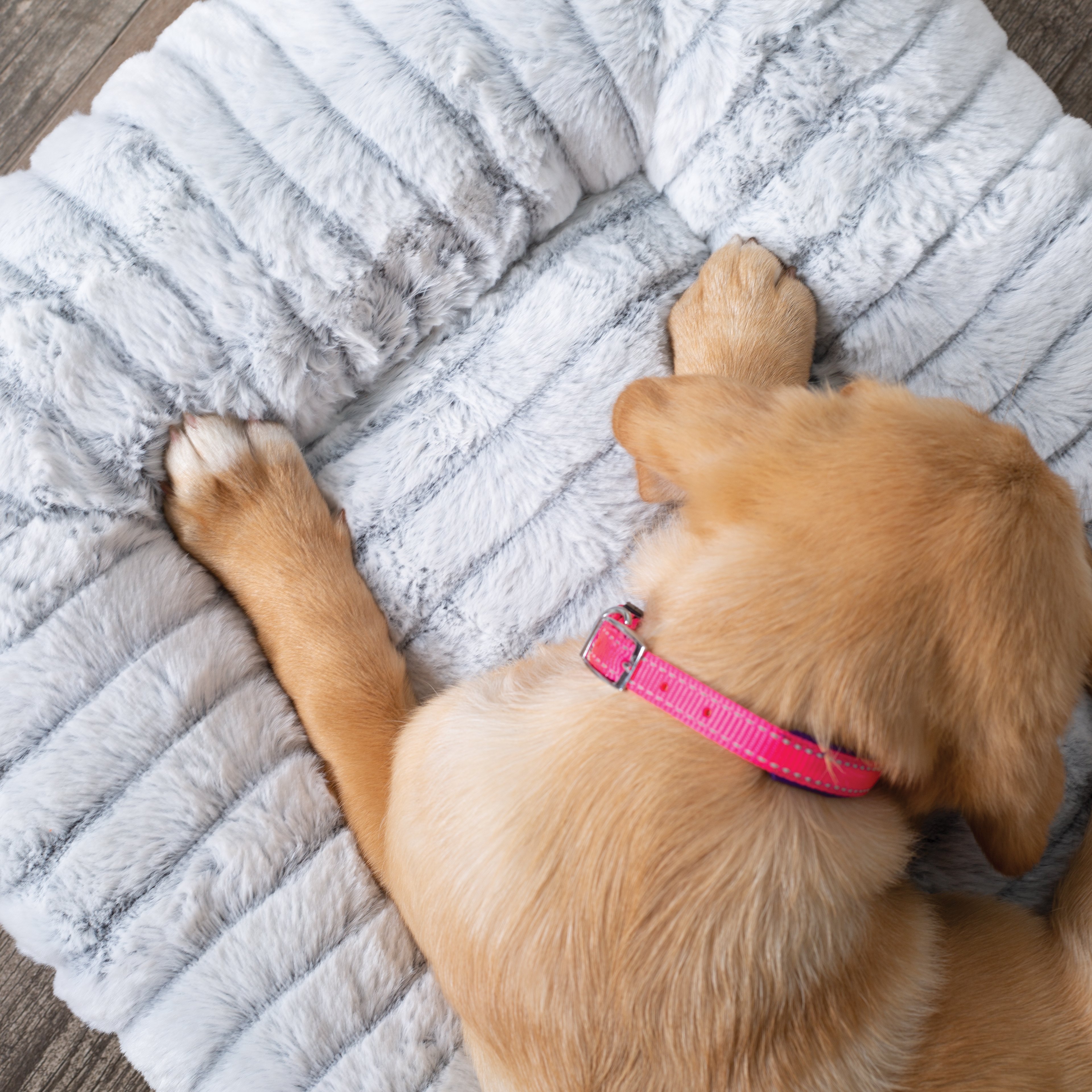 Kazoo Cloud Comfort Dog Bed