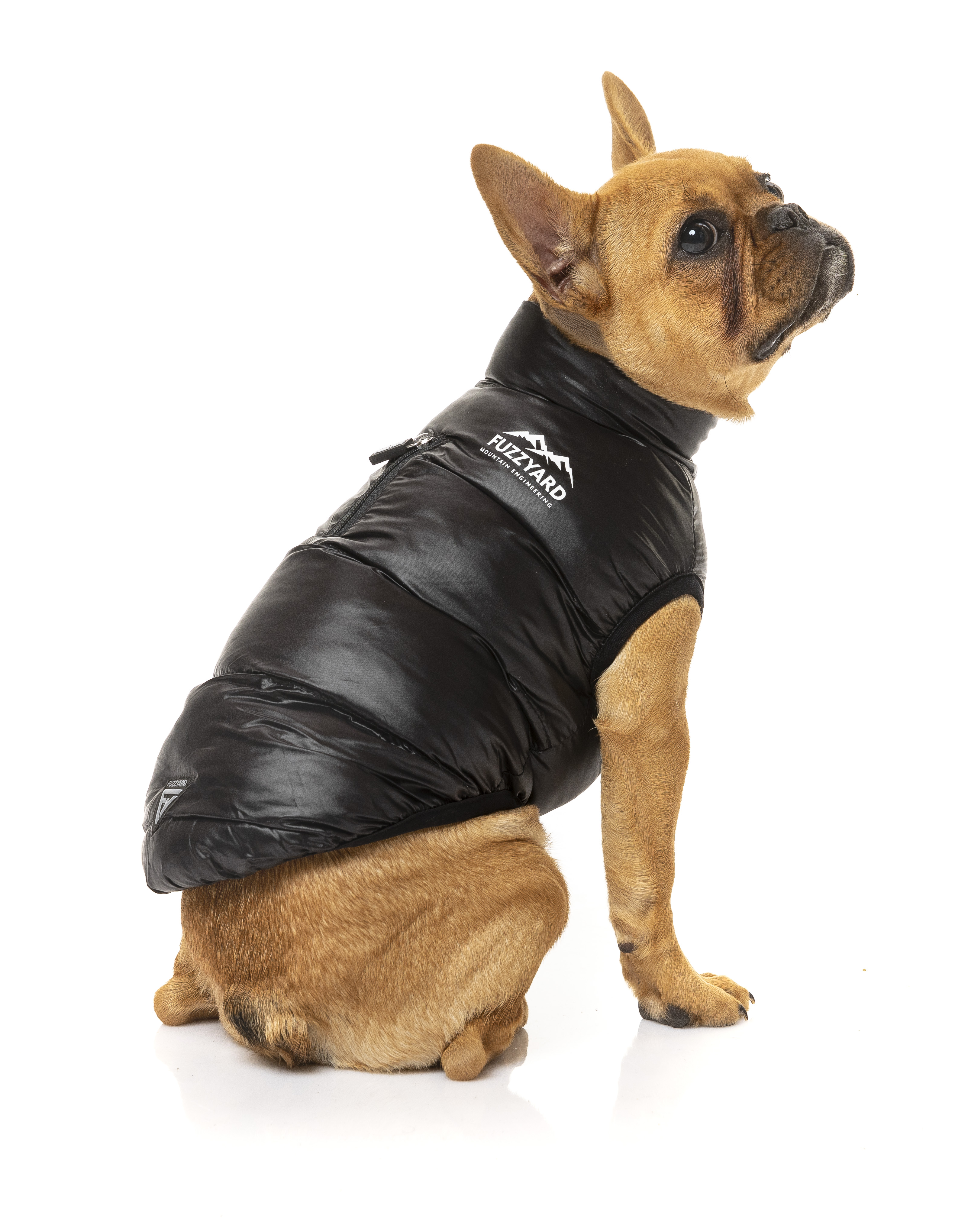 Dog black puffer jacket Clearance