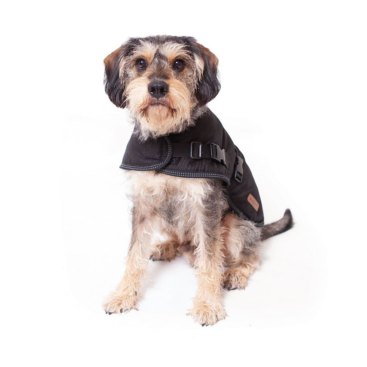 black dog fleece
