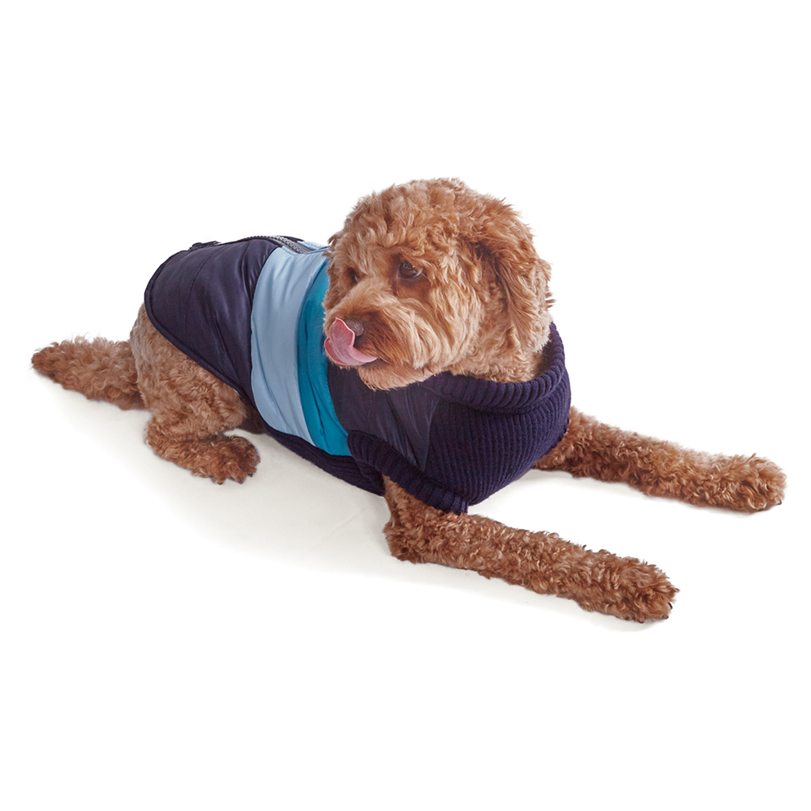 petbarn dog life jacket