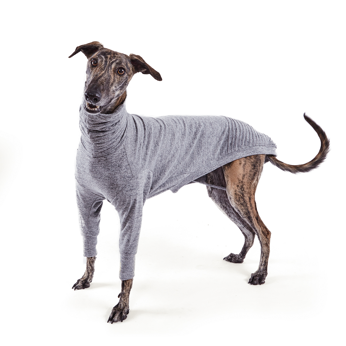 Kazoo Greyhound Softie Dog Jumper Grey