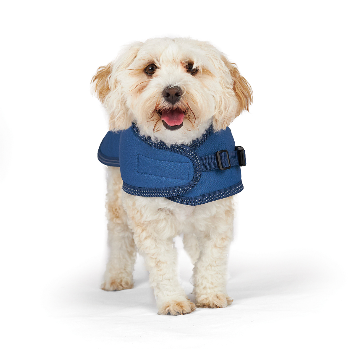 Kazoo Adventure Dog Coat River