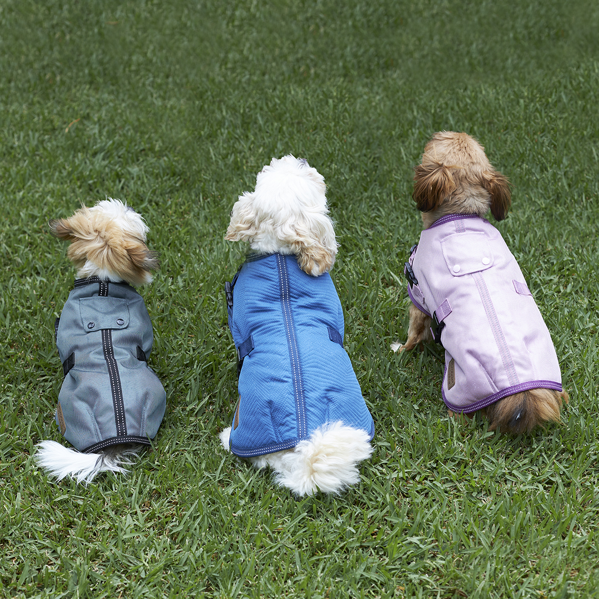 Kazoo Adventure Dog Coat River