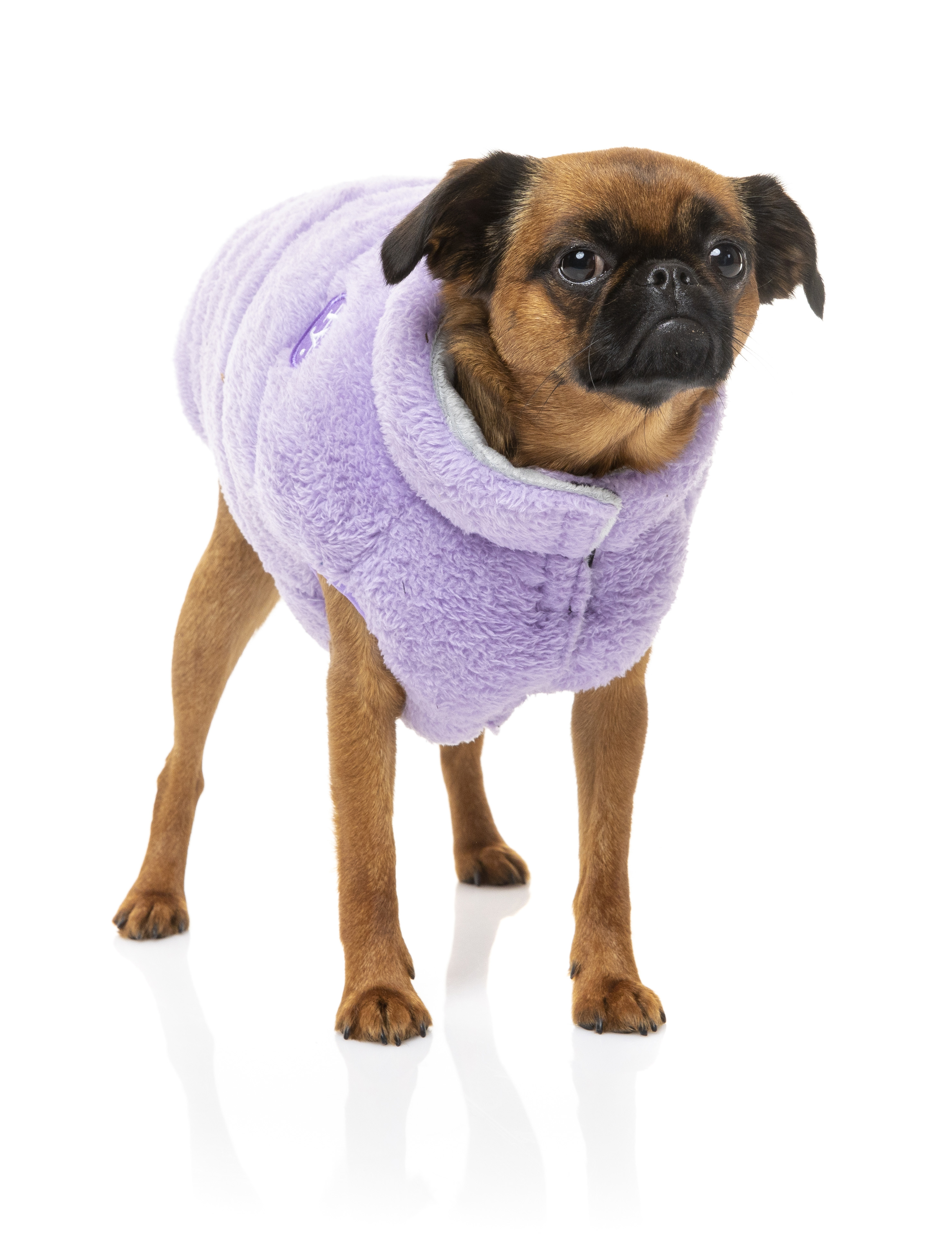 lilac dog coat