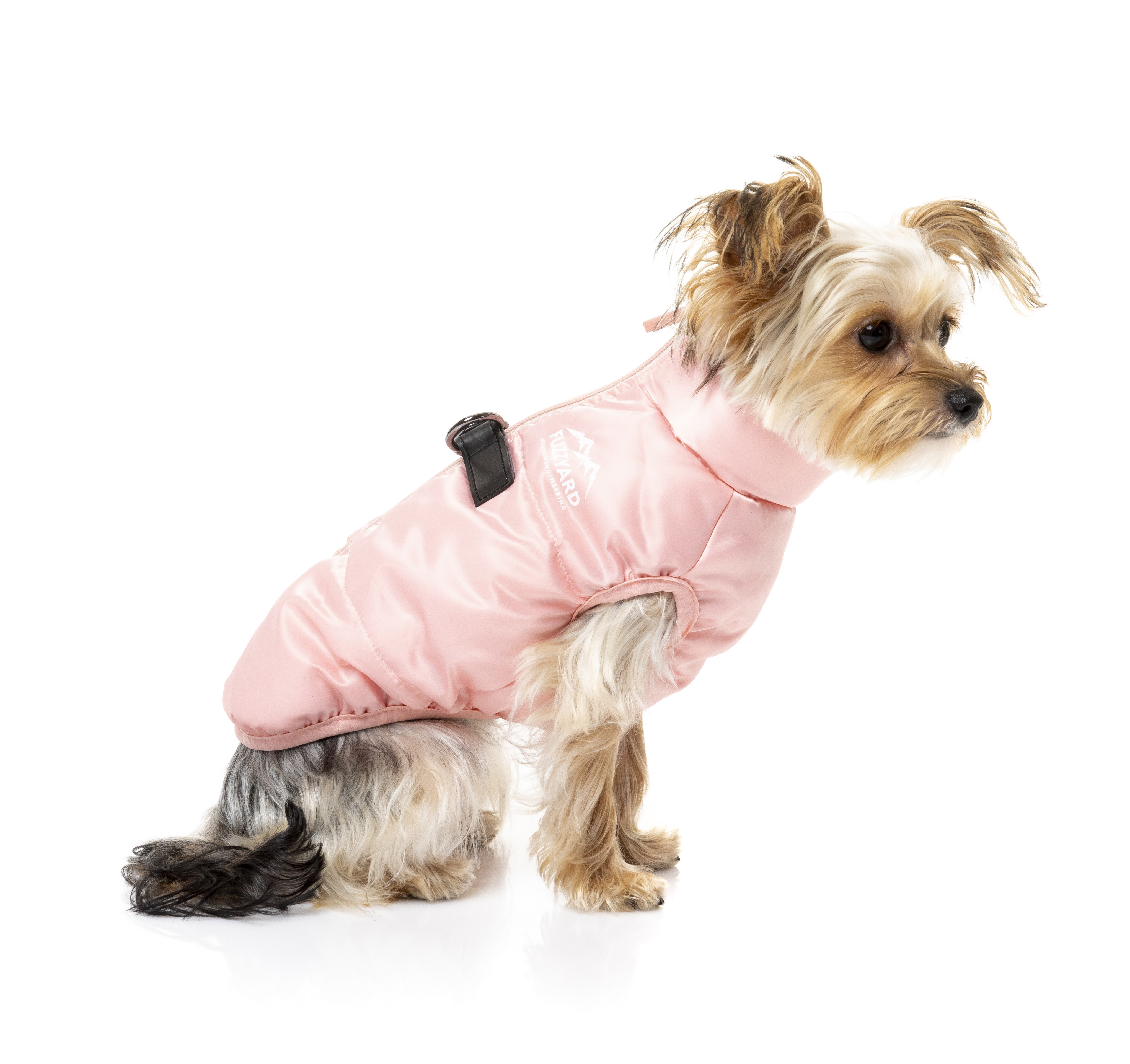 contego intumescent paint