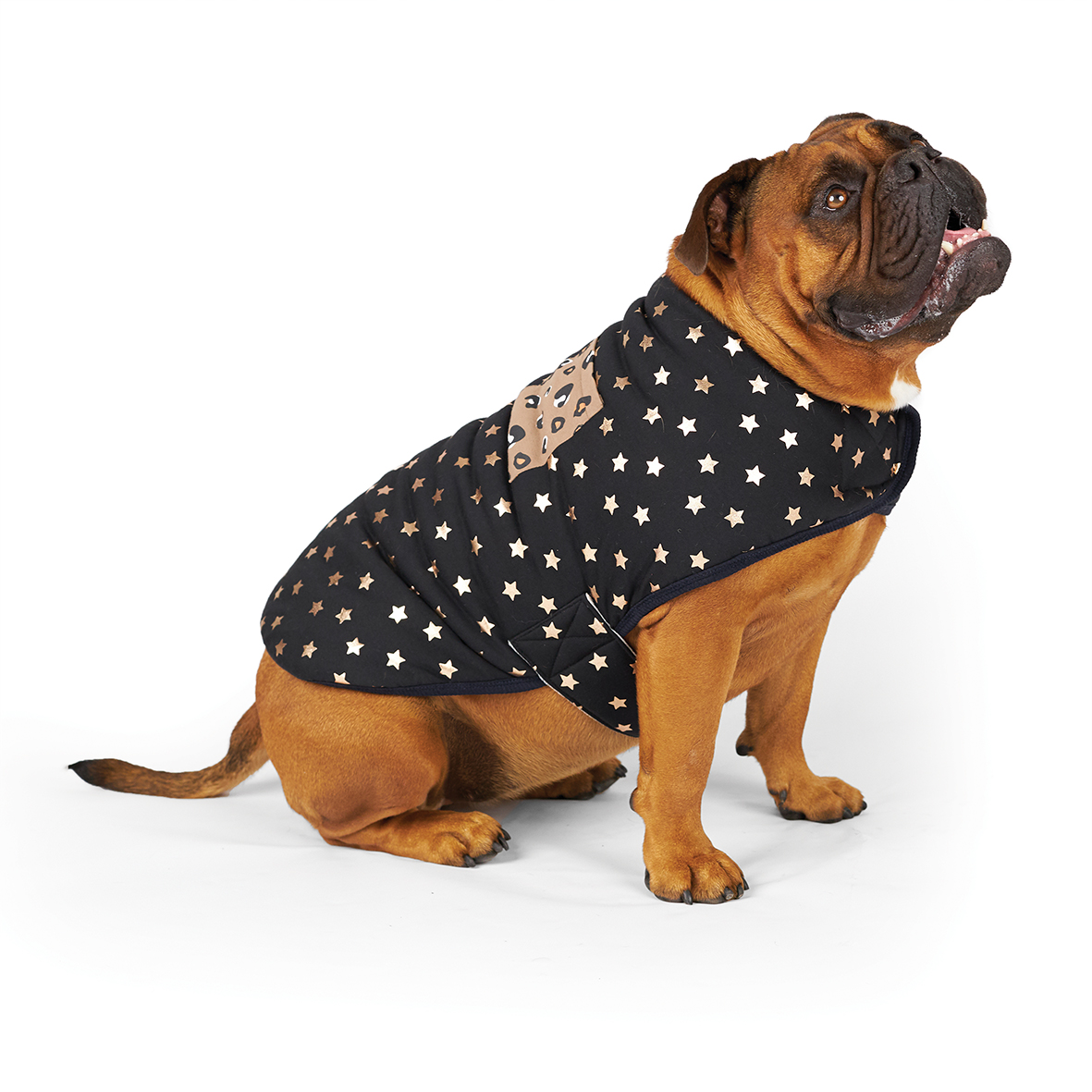 Kazoo Starlight Safari Dog Snuggie
