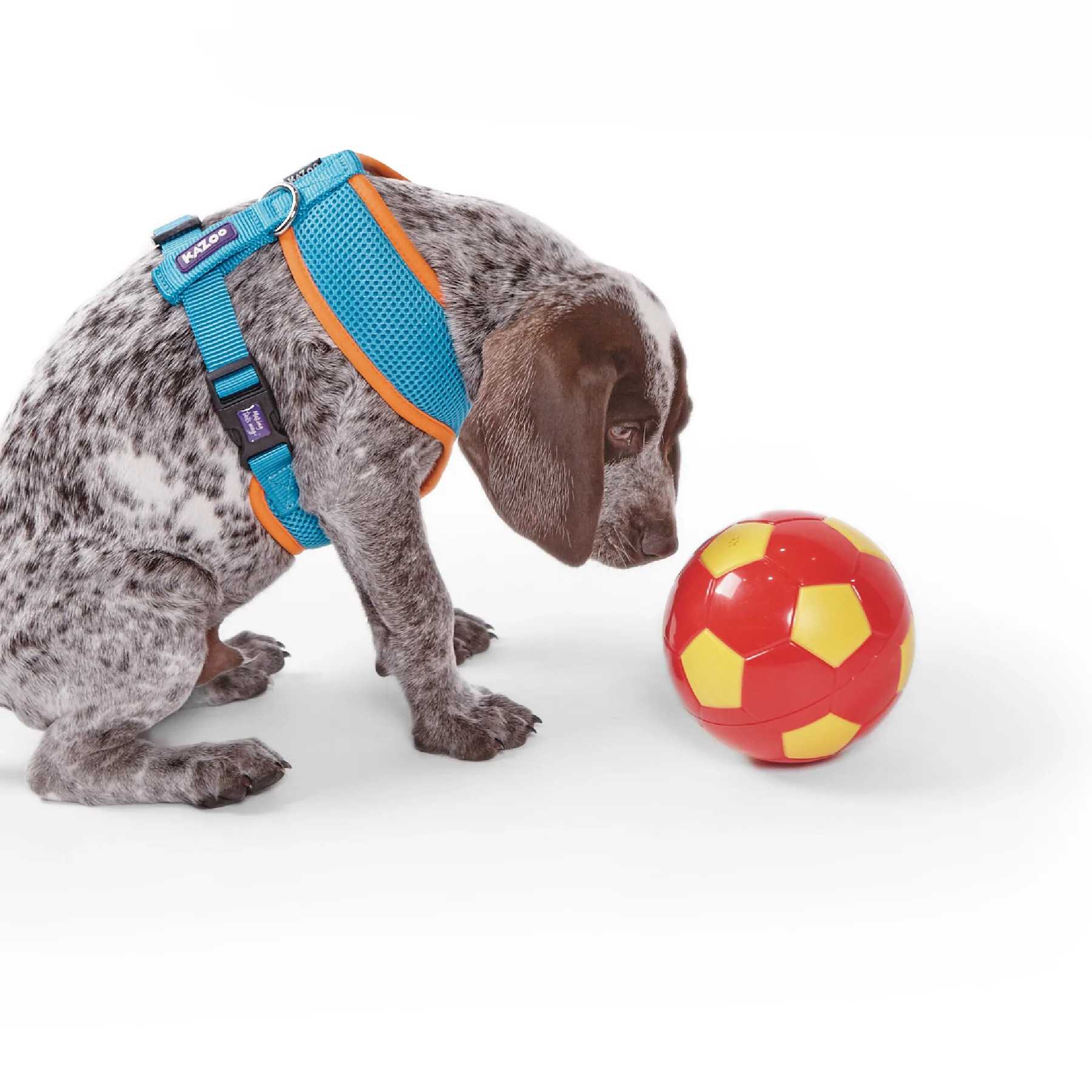 Kazoo Active Soft Dog Walking Harness Ocean Sunrise