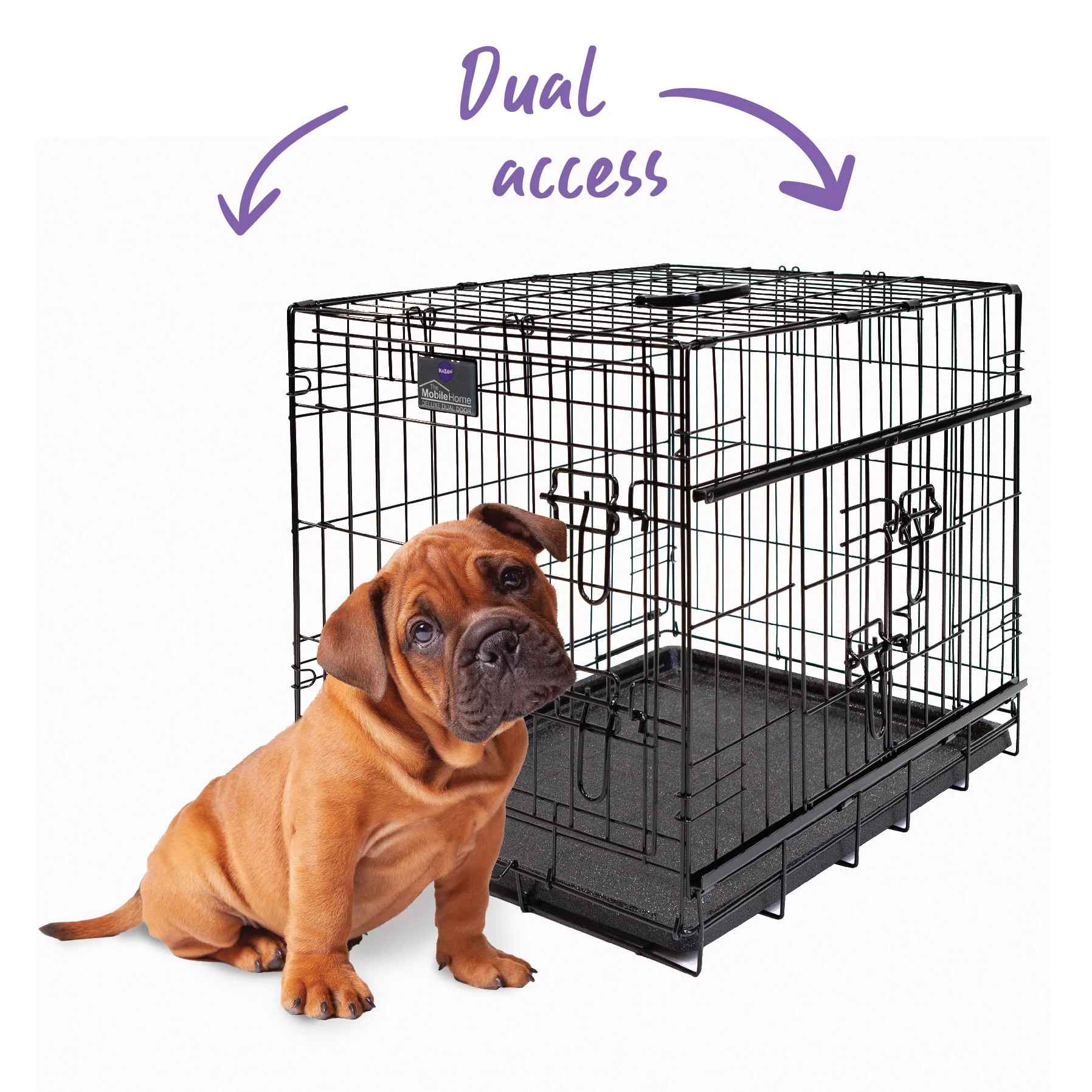 Kazoo Everyday Dog Crate