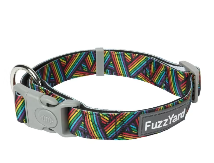 FuzzYard Dog Collar Rainbow Northcote
