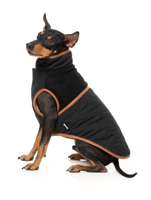 FuzzYard Ivanhoe Dog Jacket Black