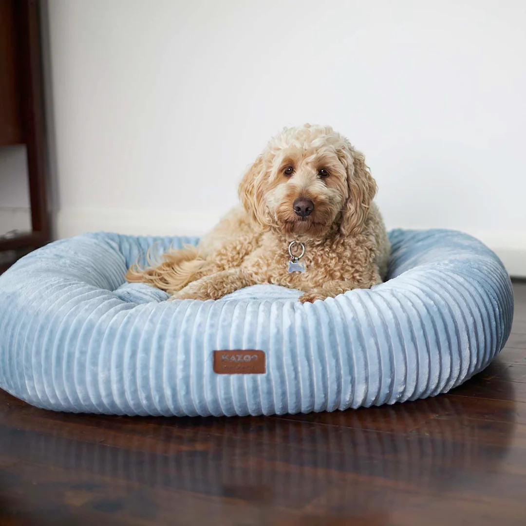 Kazoo Loop Dog Bed Seafoam