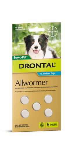 drontal medium dog