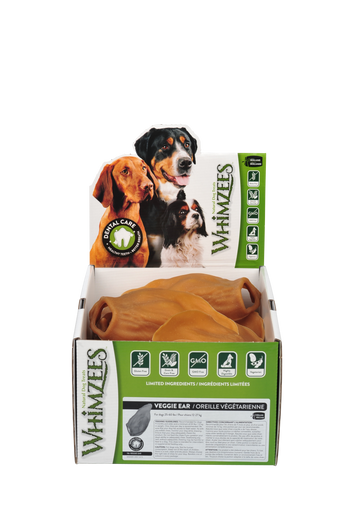 purple stuffed bunny