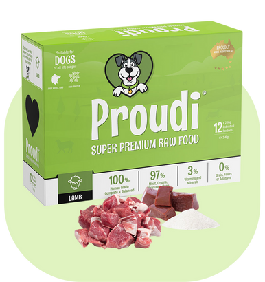 Raw Lamb Patties for Dogs