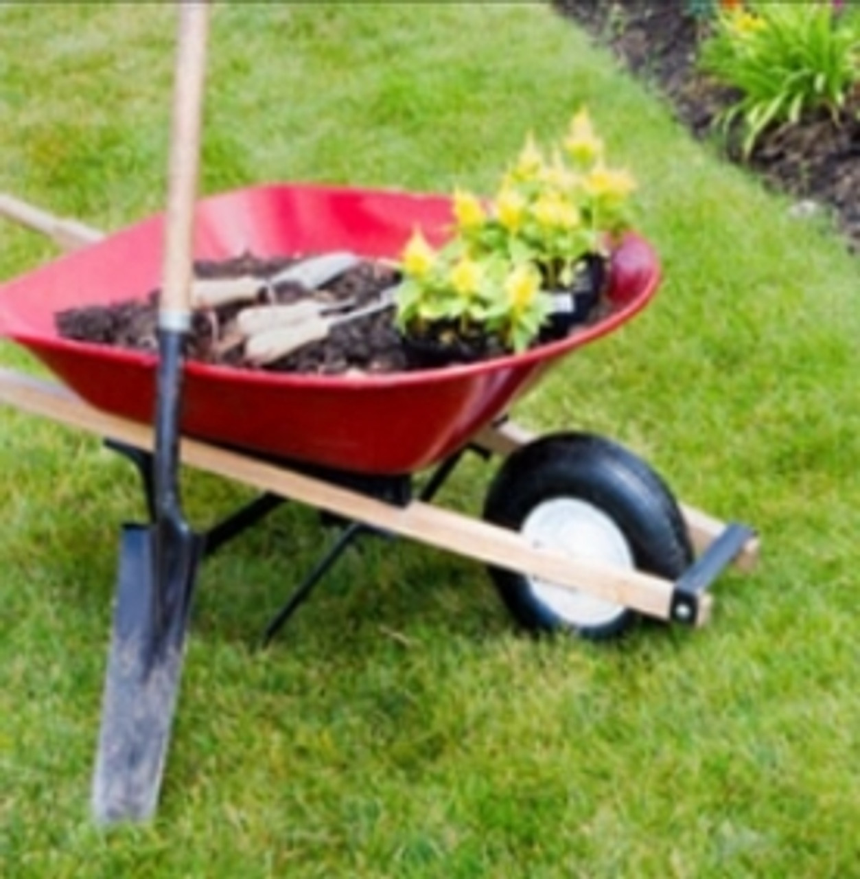 Landscaping & Gardening