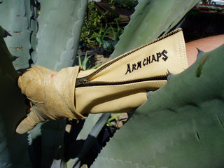 arm-chaps-leather-thorn-protection.jpg