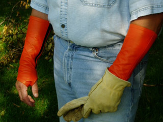 arm-chaps-tree-service-safety-orange.jpg