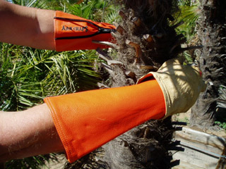arm-chaps-tree-trimming-safety-orange.jpg
