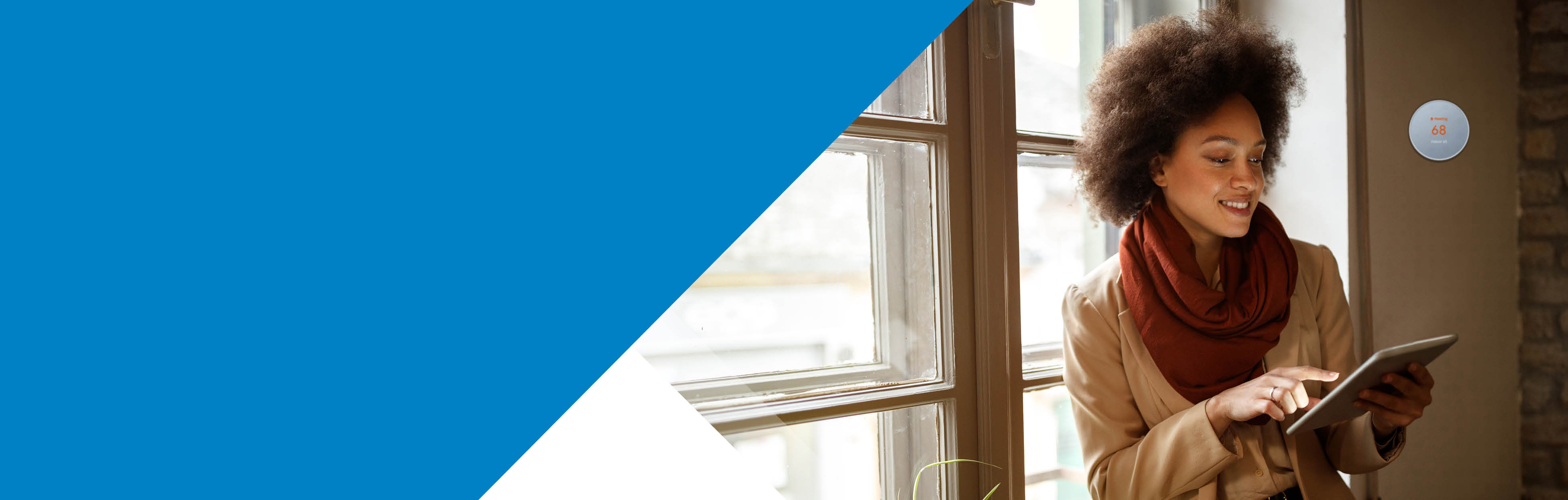 Ameren illinois energy efficiency business online store
