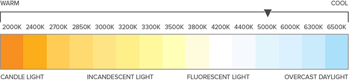 infographic of the color temperature kelvin scale ranging from warm Candle light 1000K to cool blue overcast light 7000K. This fixture is cool blue light 5000K.