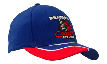 Brushed Heavy Cotton with Insert/Embroidery on Peak Brushed Heavy Cotton with Insert/Embroidery on Peak